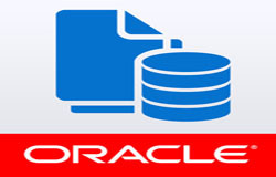 Oracle数据库管理工具有哪些?-北京JNTY.COM江南体育(中国)科技公司公司